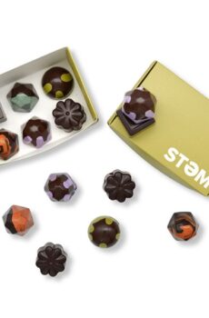 STEM VEGAN X DRIP CHOCOLATE BOX Buy in australia STEM VEGAN X DRIP ASSORTED Mushroom CHOCOLATE BOX