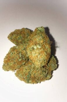 24k Marijuana Strain